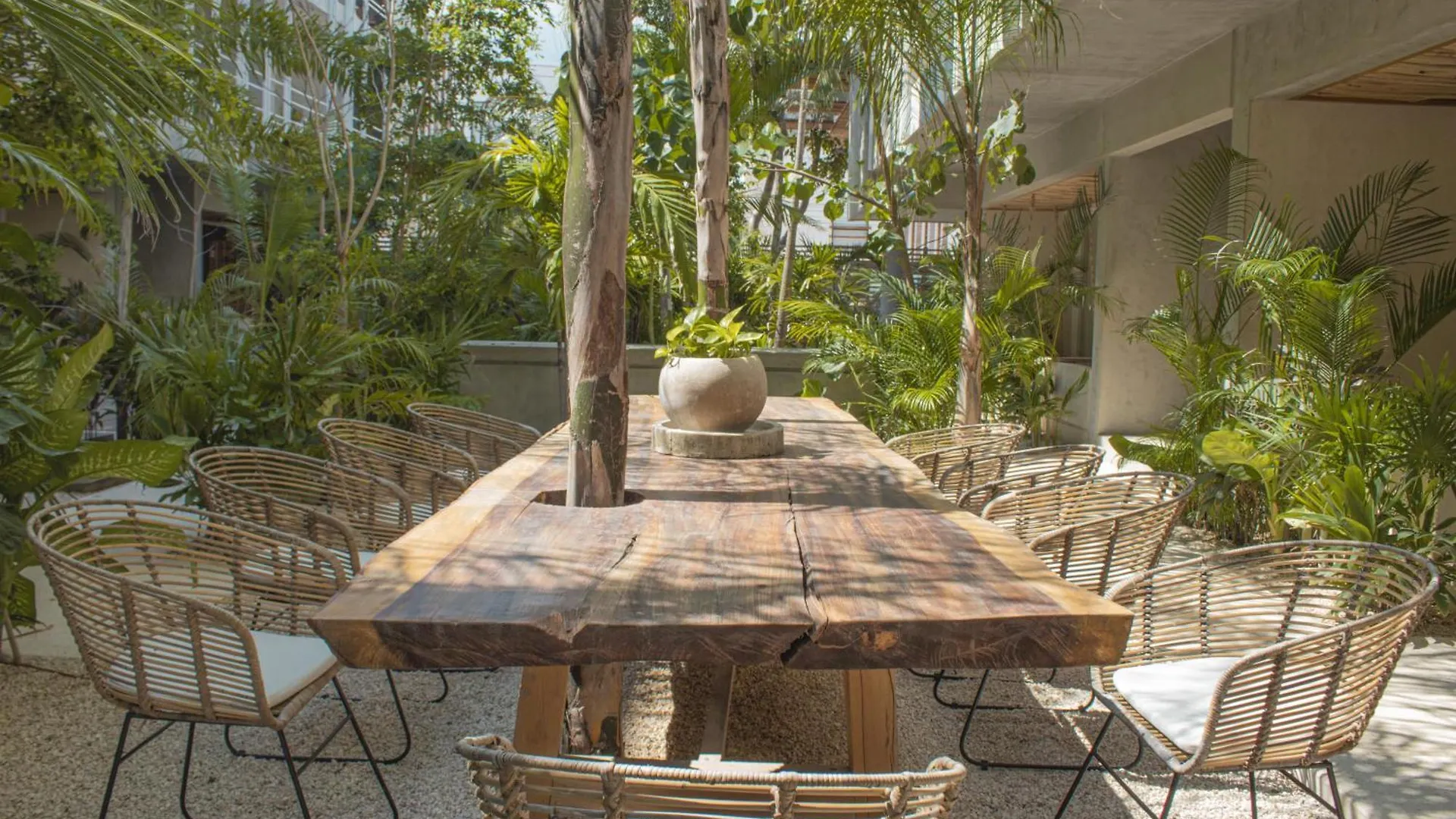 Jungle Chic Otel Tulum